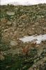 img134.jpeg.small.jpeg
