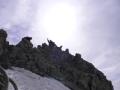 img156.jpeg.small.jpeg